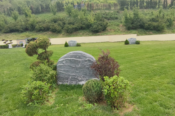 沈阳公墓带您了解实施生态葬有什么意义？